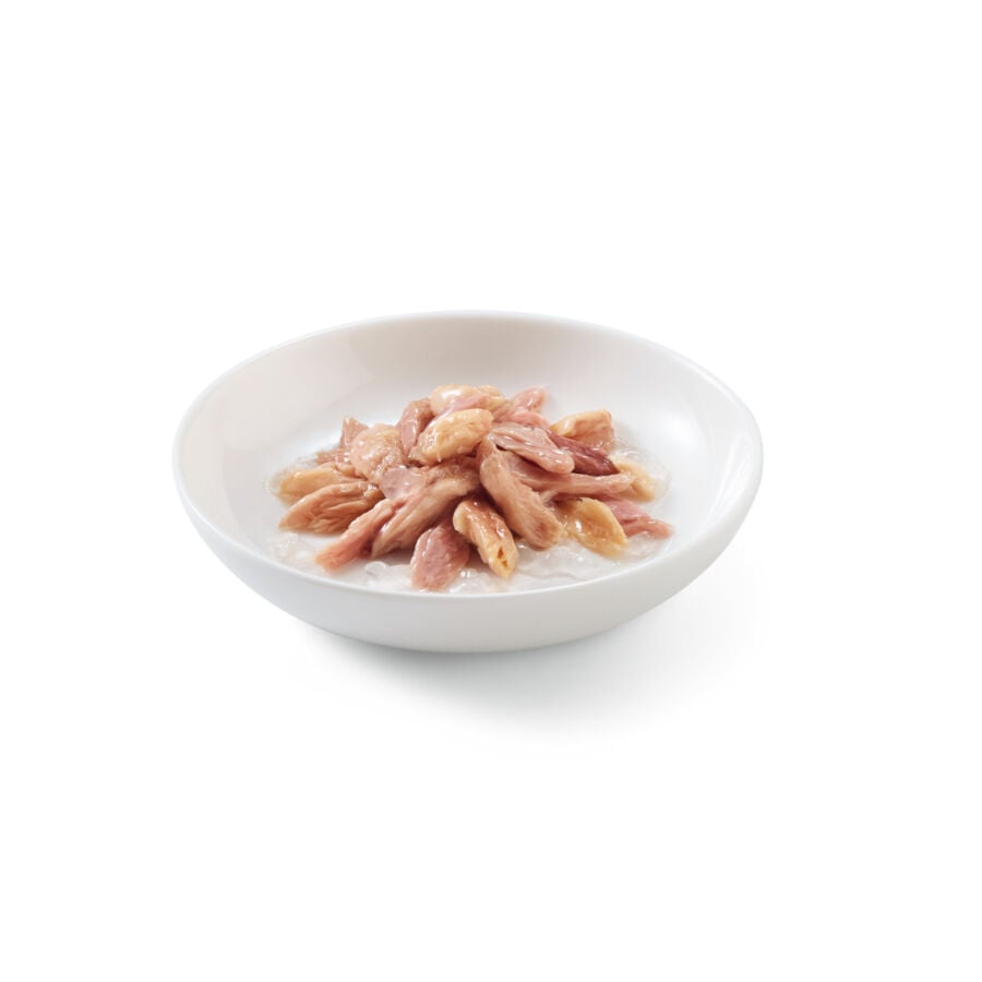 85 g Schesir Adult at&uacute;n con salm&oacute;n sobre para gatos., , large Imagen numero 2
